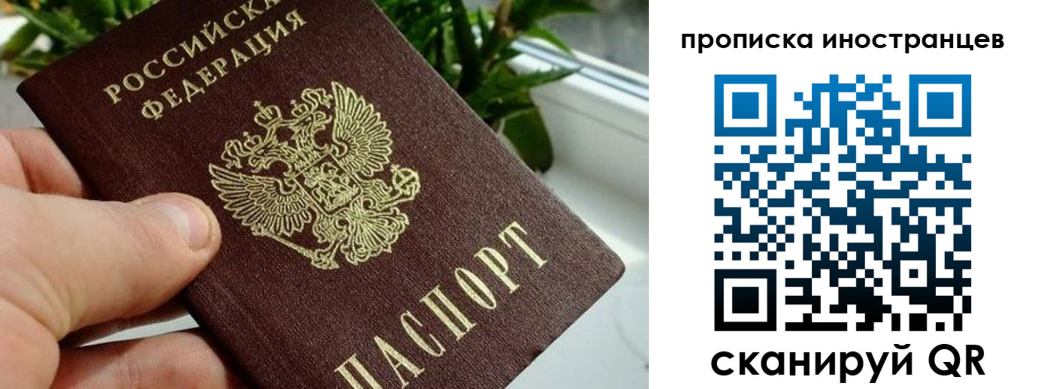 временная регистрация в Хотьково